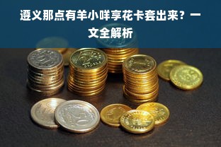 遵义那点有羊小咩享花卡套出来？一文全解析