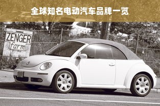 全球知名电动汽车品牌一览