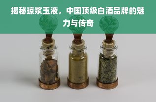 揭秘琼浆玉液，中国顶级白酒品牌的魅力与传奇