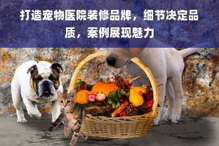 打造宠物医院装修品牌，细节决定品质，案例展现魅力