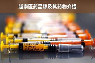 越南医药品牌及其药物介绍