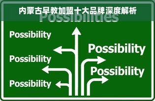内蒙古早教加盟十大品牌深度解析