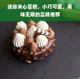 迷你夹心蛋糕，小巧可爱，美味无限的品牌推荐