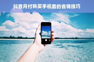 抖音月付购买手机套的省钱技巧