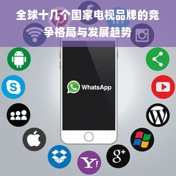 全球十几个国家电视品牌的竞争格局与发展趋势
