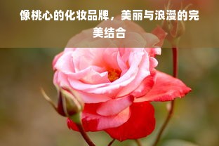 像桃心的化妆品牌，美丽与浪漫的完美结合