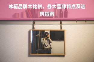 冰箱品牌大比拼，各大品牌特点及选购指南