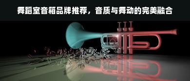 舞蹈室音箱品牌推荐，音质与舞动的完美融合
