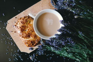 盘点五大高档塑料茶叶杯品牌，品味生活从一杯茶开始