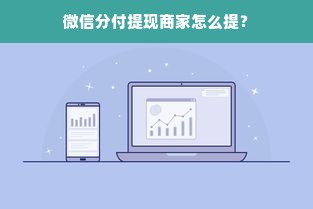 微信分付提现商家怎么提？