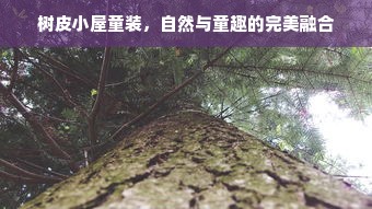 树皮小屋童装，自然与童趣的完美融合