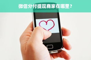 微信分付提现商家在哪里？