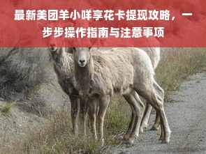 最新美团羊小咩享花卡提现攻略，一步步操作指南与注意事项