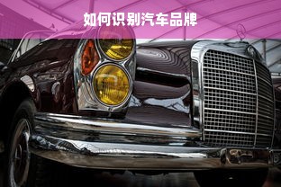 如何识别汽车品牌