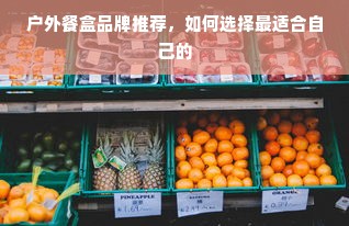 户外餐盒品牌推荐，如何选择最适合自己的