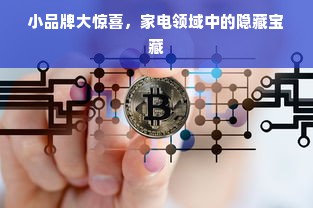 小品牌大惊喜，家电领域中的隐藏宝藏