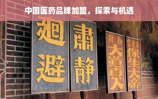 中国医药品牌加盟，探索与机遇