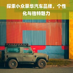 探索小众豪华汽车品牌，个性化与独特魅力