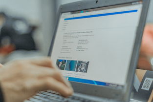 全网比价，教你如何买到最便宜的优质茶叶