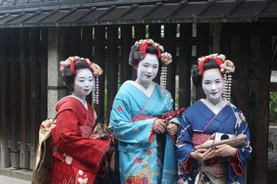 日本贵妇的化妆品牌，探究其魅力与独特之处