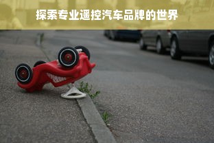 探索专业遥控汽车品牌的世界