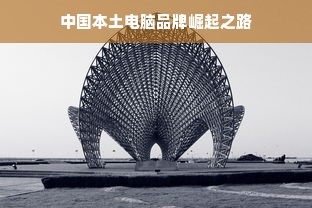 中国本土电脑品牌崛起之路