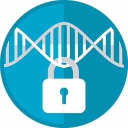 医药品牌图标设计图纸详解，从构思到成品的全过程