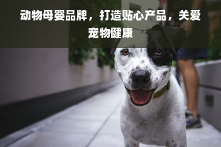 动物母婴品牌，打造贴心产品，关爱宠物健康