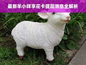 最新羊小咩享花卡提现消息全解析