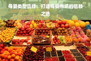 母婴类型品牌，打造母婴市场的信赖之选