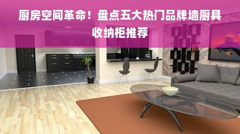 厨房空间革命！盘点五大热门品牌墙厨具收纳柜推荐