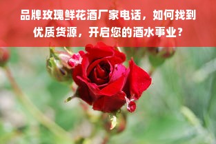 品牌玫瑰鲜花酒厂家电话，如何找到优质货源，开启您的酒水事业？