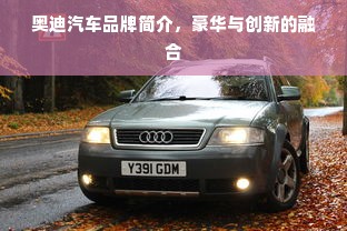 奥迪汽车品牌简介，豪华与创新的融合