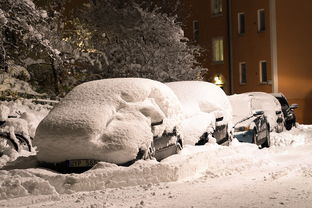 俄罗斯雪地户外品牌—探索极致冰雪体验