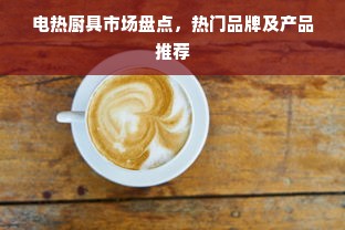 电热厨具市场盘点，热门品牌及产品推荐