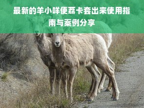 武威白酒市场风云榜，揭秘最受欢迎的白酒品牌