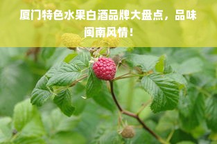 厦门特色水果白酒品牌大盘点，品味闽南风情！