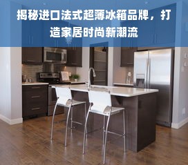 揭秘进口法式超薄冰箱品牌，打造家居时尚新潮流