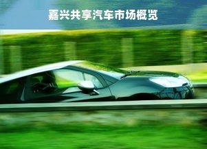 嘉兴共享汽车市场概览