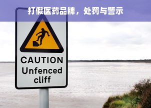 打假医药品牌，处罚与警示