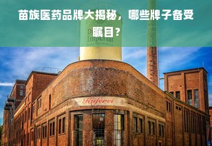 苗族医药品牌大揭秘，哪些牌子备受瞩目？
