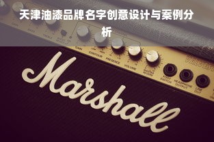 天津油漆品牌名字创意设计与案例分析