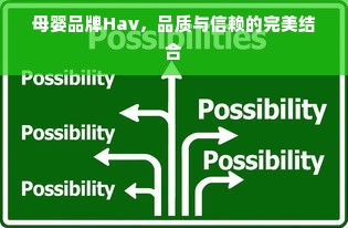 母婴品牌Hav，品质与信赖的完美结合
