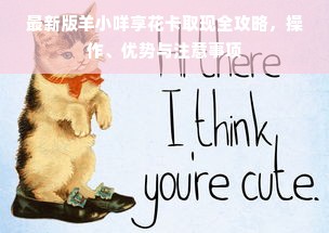 最新版羊小咩享花卡取现全攻略，操作、优势与注意事项