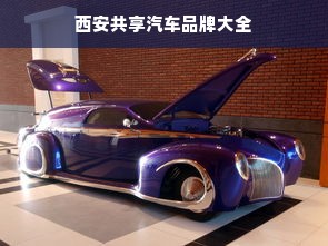 西安共享汽车品牌大全