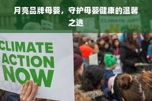 月亮品牌母婴，守护母婴健康的温馨之选