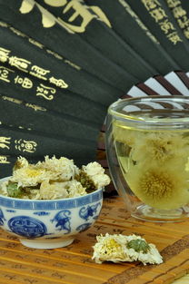 茶叶酵母品牌推荐，哪款最适合你的茶饮制作？