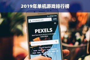 2019年单机游戏排行榜