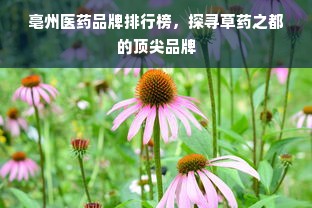 亳州医药品牌排行榜，探寻草药之都的顶尖品牌