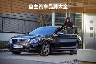 自主汽车品牌大全